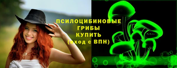 мяу мяу мука Михайловск