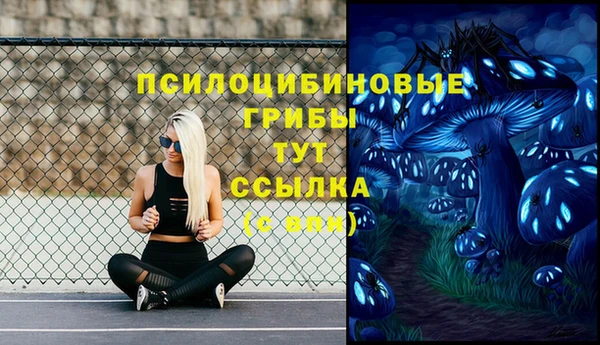 spice Михайлов