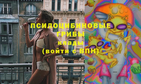 2c-b Михайловка