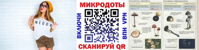 Галлюциногенные грибы MAGIC MUSHROOMS  купить закладку  Иноземцево 
